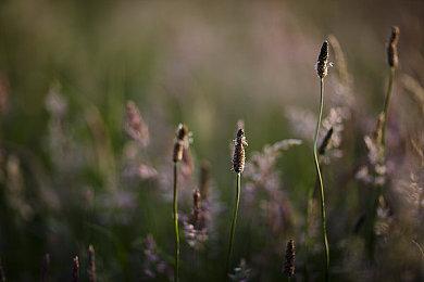 《战神：诸神黄昏》Steam同时在线玩家近2.3万 表现不及前作